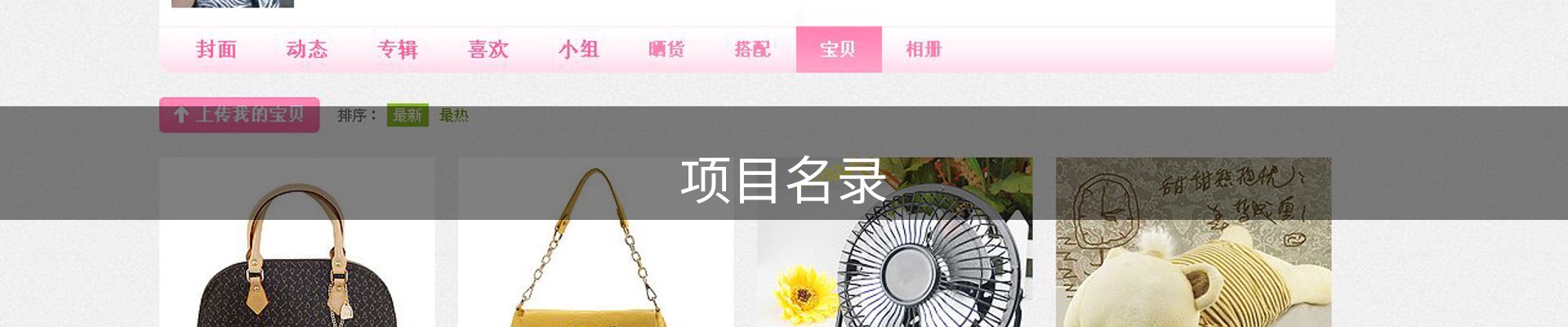 项目名录